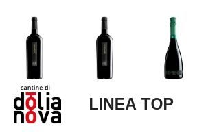 LINEA TOP